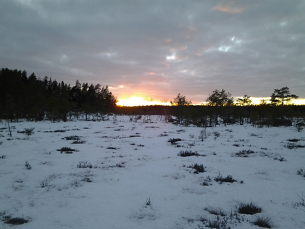 Gl�pmossen vinter 2013