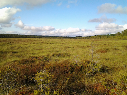 Gl�pmossen sommarn 2012